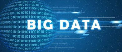 大數據與工業互聯網數據服務 應用深化與生態構建